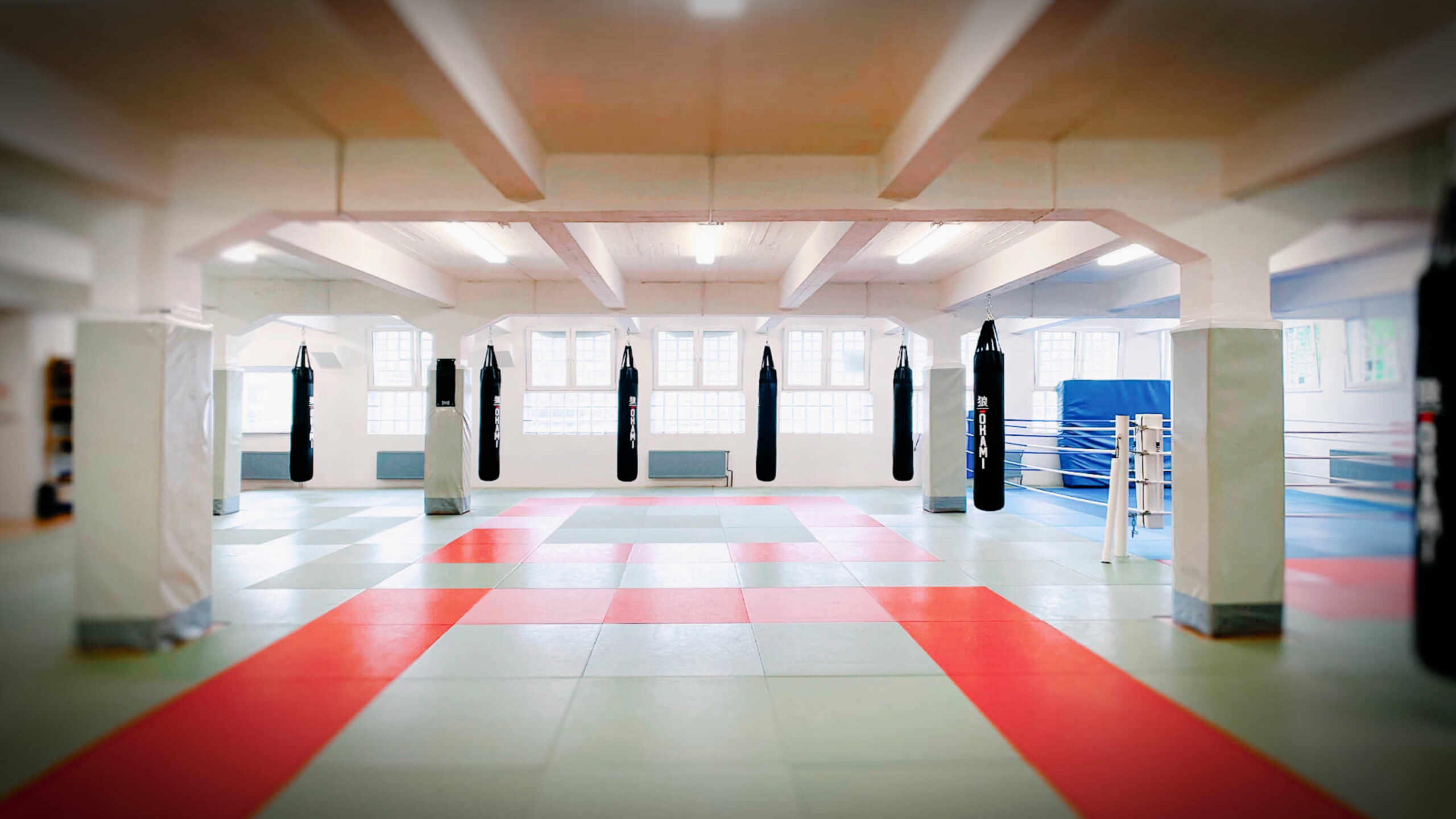 Trainingsfläche von Combat Club Cologne