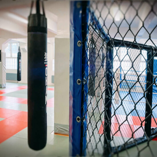 MMA Cage Köln von Combat Club Cologne