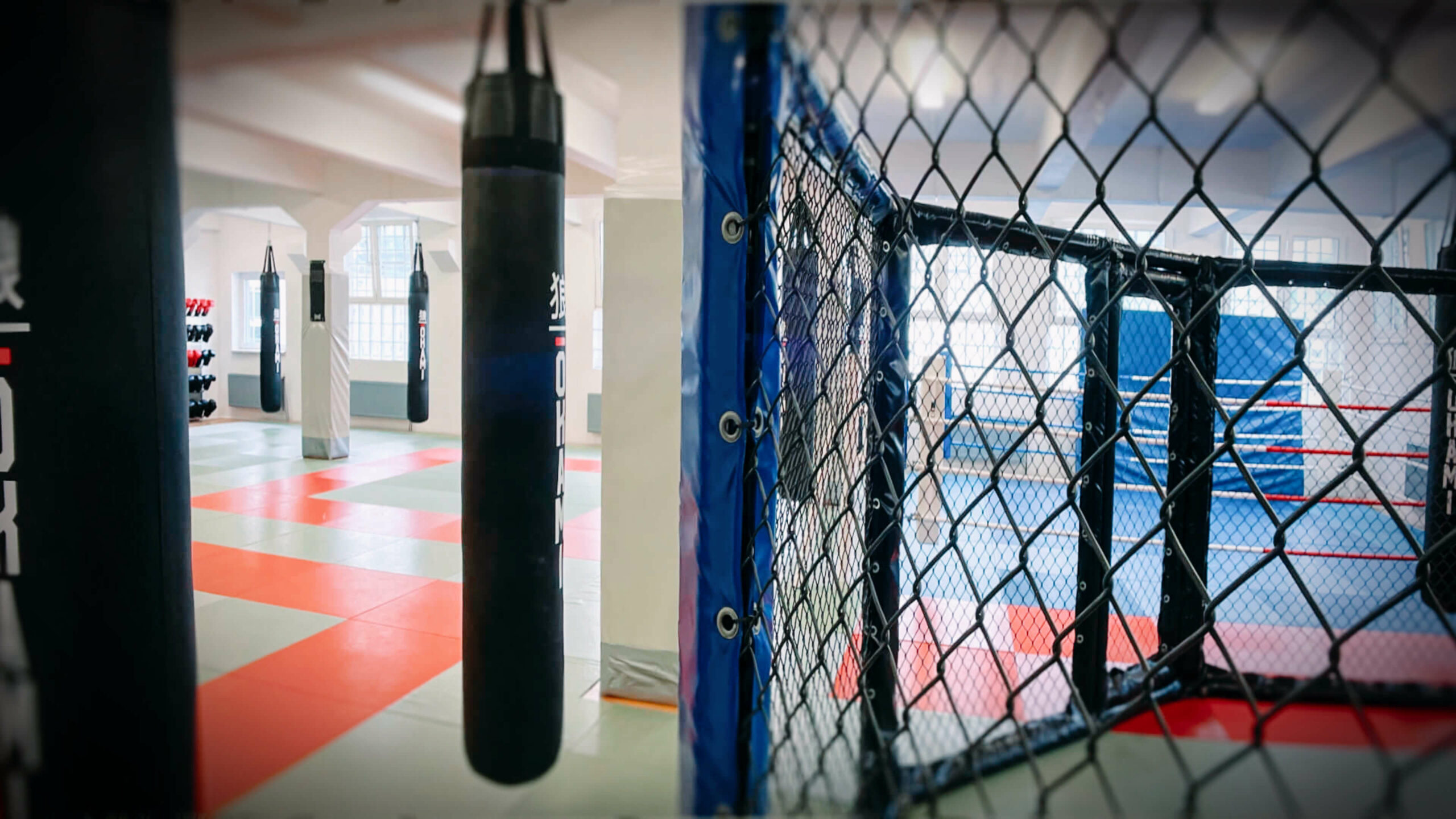 MMA Cage Köln von Combat Club Cologne
