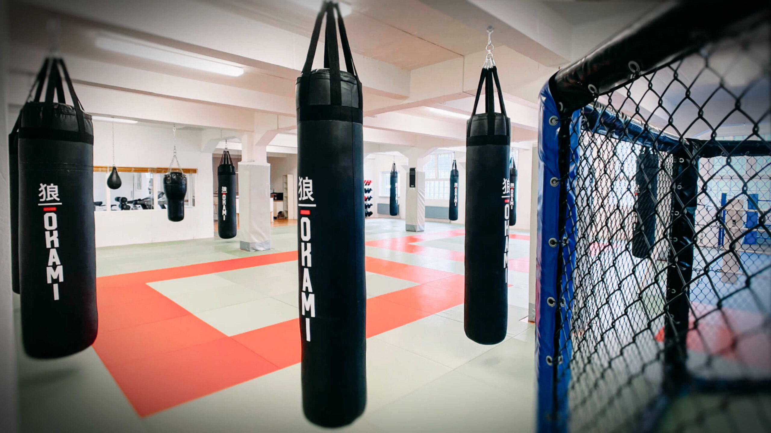 Trainingsfläche von Combat Club Cologne