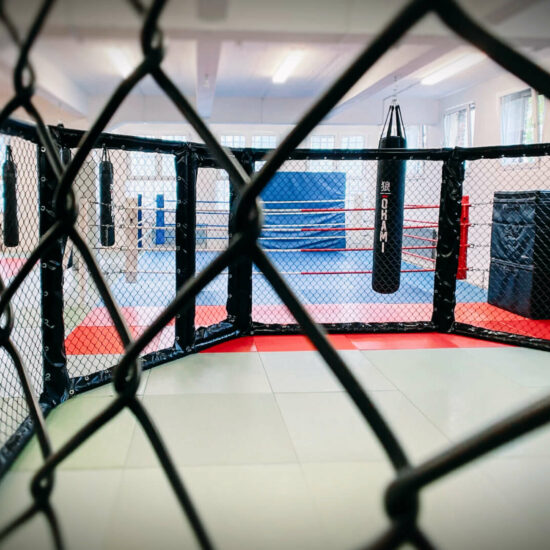 MMA Cage von Combat Club Cologne