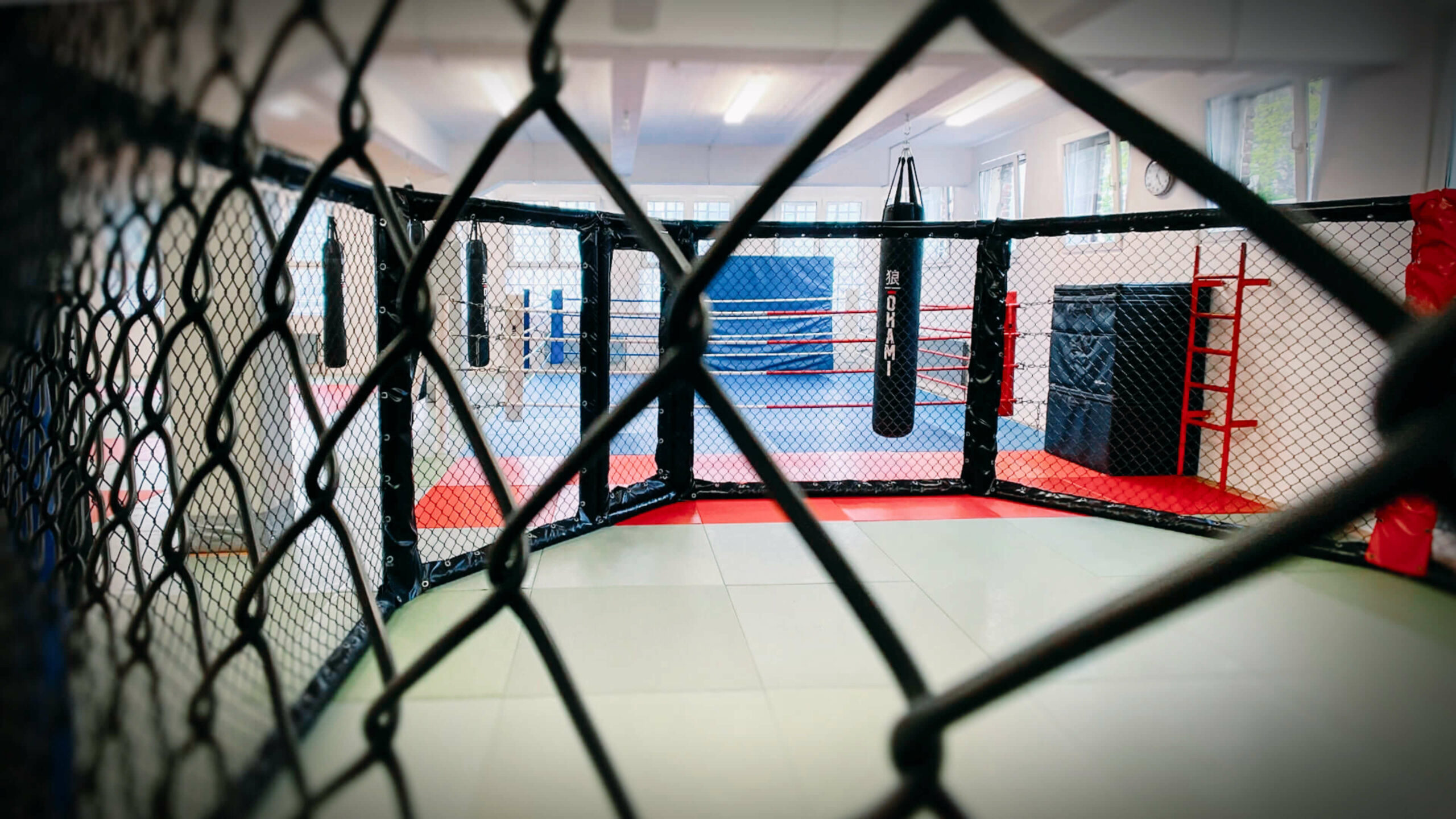 MMA Cage von Combat Club Cologne