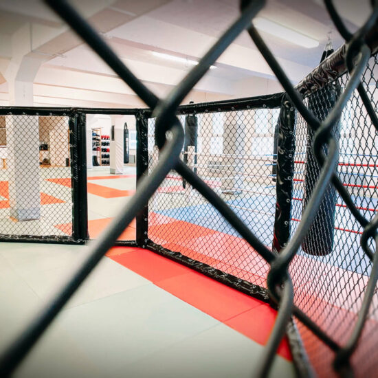 MMA Cage von Combat Club Cologne