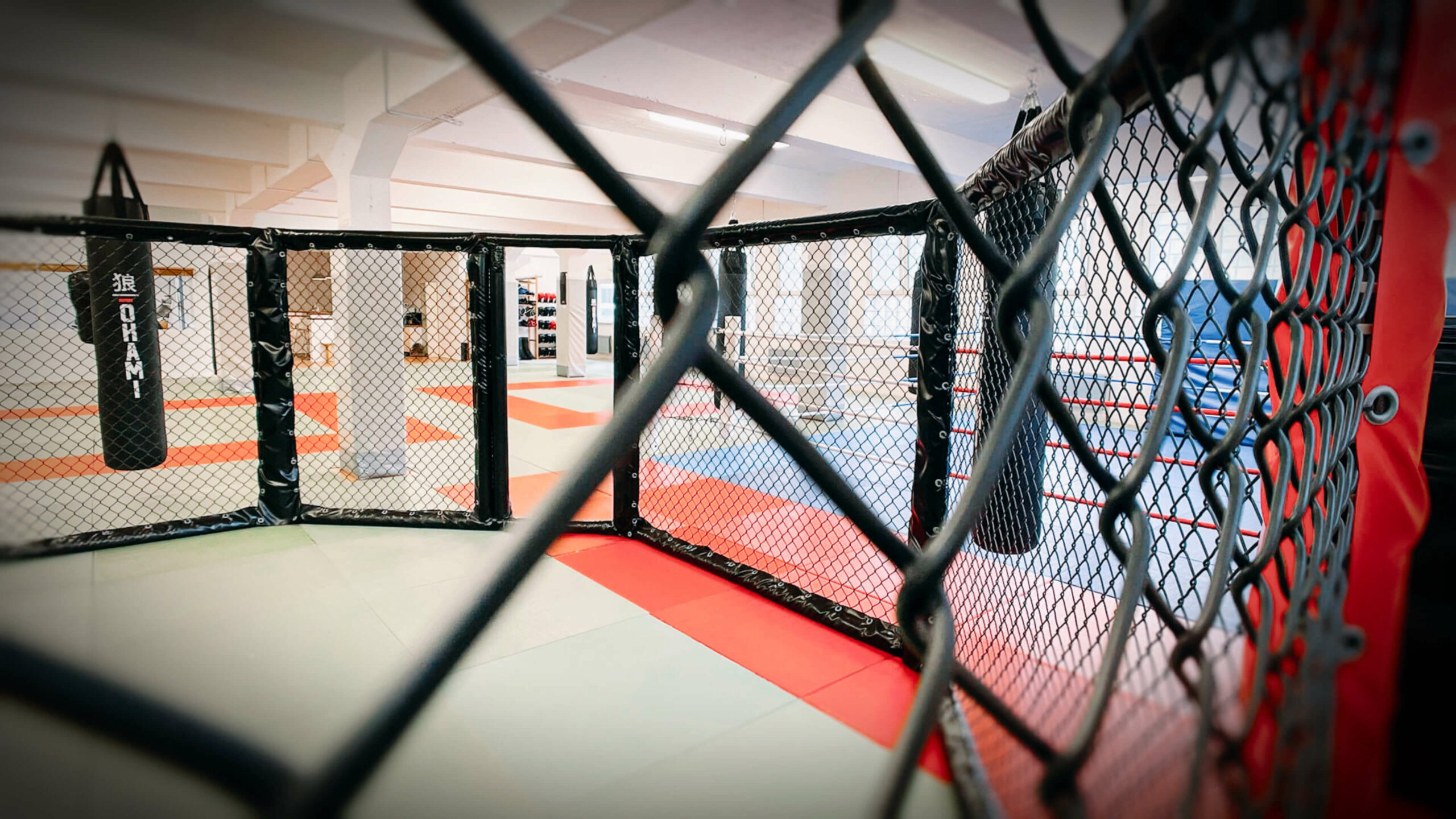 MMA Cage von Combat Club Cologne