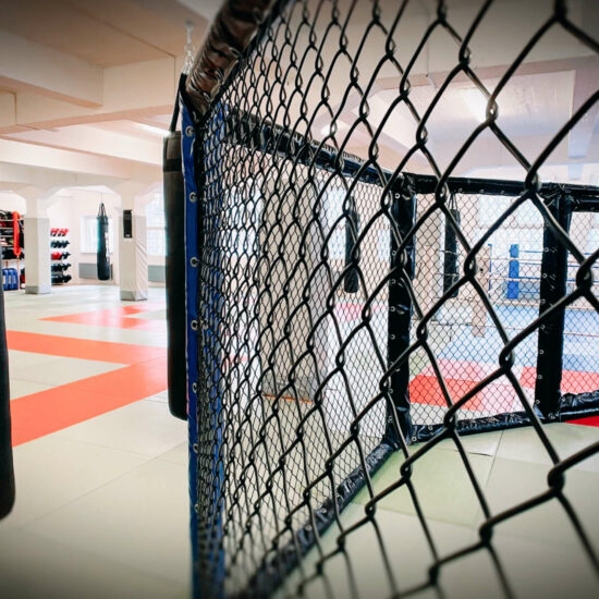 MMA Cage von Combat Club Cologne